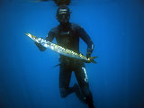 barracuda chasse-sous-marine.com