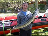 barracuda chasse-sous-marine.com