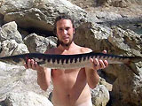 barracuda chasse-sous-marine.com