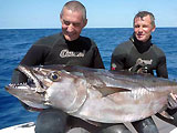 thon chasse-sous-marine.com