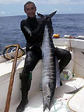 wahoo chasse-sous-marine.com